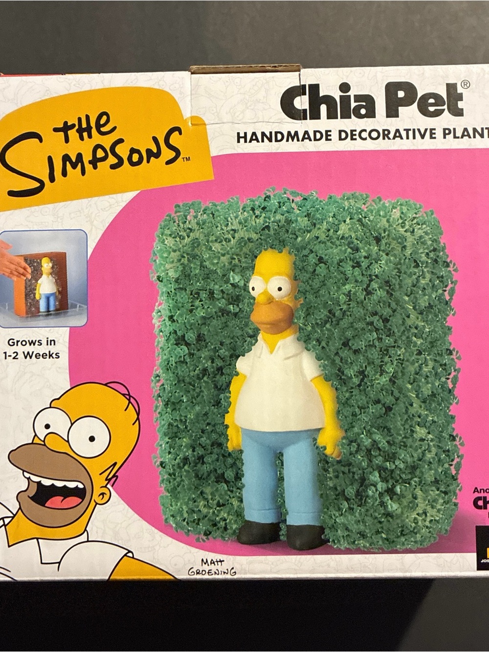 Chia Pet The Simpsons Homer Simpson Decorative Plant - Green